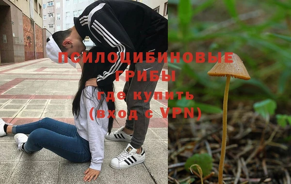 a pvp Армянск