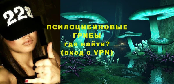 меф Арсеньев