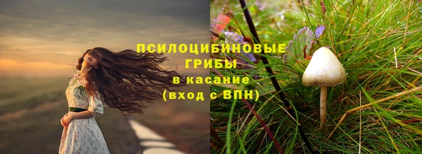 круглые Аркадак