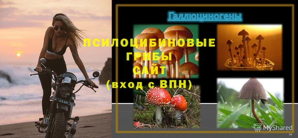 гашик Балабаново